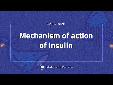 What is the mechanism of action of insulin ?