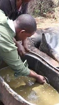 advantages of biogas