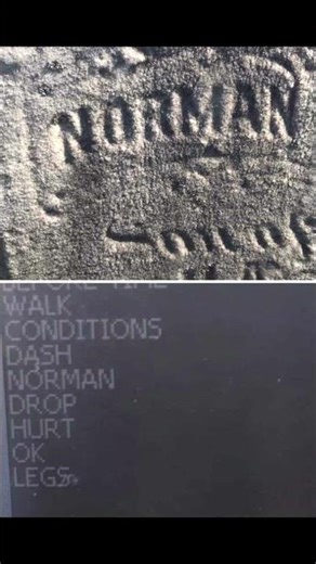 Ghost Stop's Ovilus 5 ghost hunting device! #ghosthunting #paranormal #ovilus