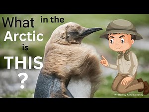 WHAT in the ARCTIC is THIS? READ-ALOUD EDUCATIONAL ANIMAL STORY FOR CHILDREN!