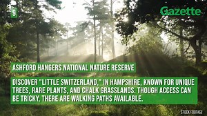 Where do you like to go? | Basingstoke Gazette