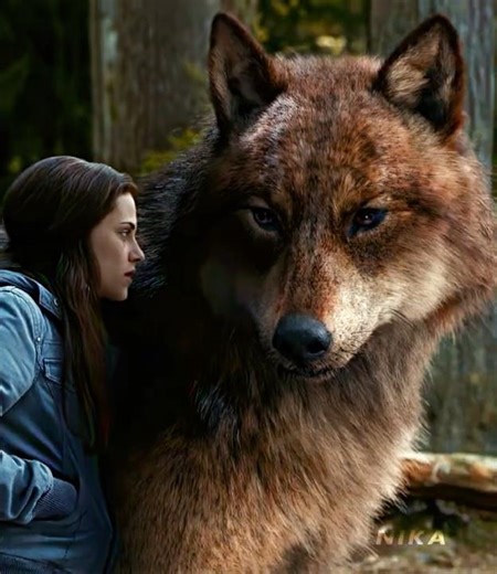 "Jacob Black Era" #twilightsaga #edit #foryou #shorts