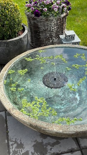Heidi Brinkmann | Drivhus | Indretning | Blomster on Instagram: "Springvand på solceller💦 Har du set, at man kan få disse smarte flydende springvand på solceller? På den måde er det hurtigt og nemt at lave sit eget springvand. Du behøver ikke et stort vandfad eller spejlbassin, du kan sagtens bruge en lille skål eller en lille krukke med vand. Lyden af rislende vand er skøn og er med til at skabe hygge og stemning i haven🌱💦💚 #springvand #springvandihaven #solcellespringvand #waterfontain #so