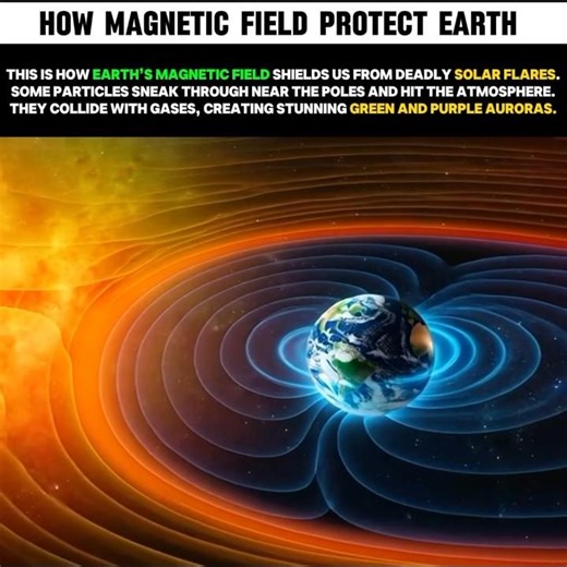 How Earth Blocks Solar Flares & Creates Stunning Auroras☠️