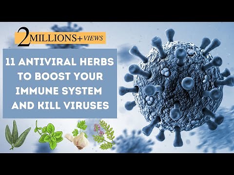 11 Antiviral Herbs To Boost Your Immune System And Fight Viruses❗️