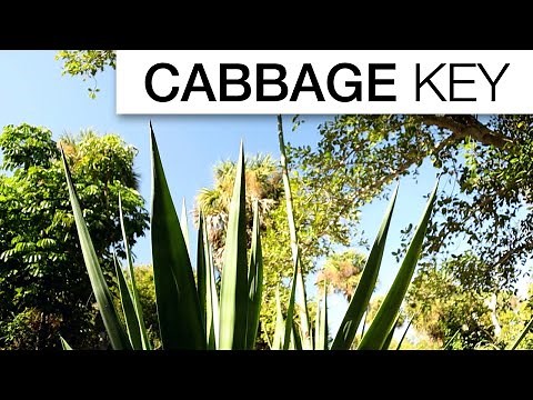 CABBAGE KEY TRAVEL GUIDE
