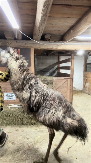 I can only IMAGINE the scathing email to customer service | Customer Service Job