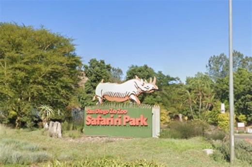 San Diego's Wild New Elephant Walk Puts Visitors Face-to-Face With the Herd