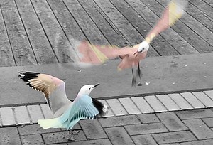 Polaroid Once Won an Epic Courtroom Battle with Kodak