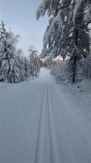 🇫🇮 Cross-country skiing Dream State in Finnish Lapland - Kansallispuisto #crosscountry 🤍💙🤍