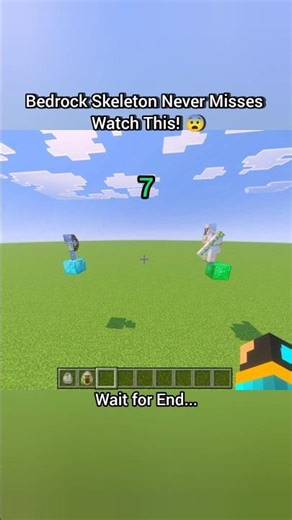 Bedrock Skeleton Has 100% Accuracy 😳