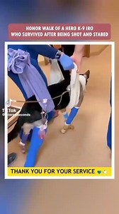 10K reactions · 8.4K shares | HONOR WALK OF A HERO K-9  | Patrick Evangel | Facebook