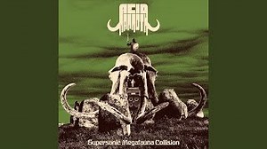 Acid Mammoth - Tusko's Last Trip