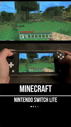 Minecraft Nintendo Switch Lite Gameplay - FPS Monitor