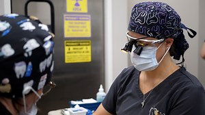 13K views · 77 reactions | Welcome to Hilliard, Veterinary Dentistry...