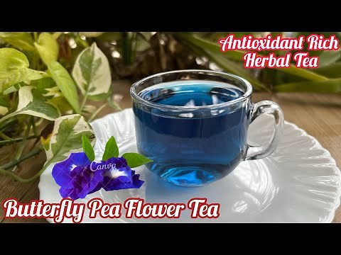 Blue Tea Recipe | Controls Blood Sugar & Cholesterol | Butterfly Pea Flower Tea Uses & Benefits