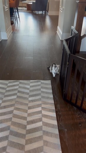 Jessica McGuire on Reels