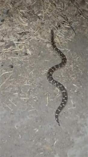 # ye kon sa sanik hai##new post video ##