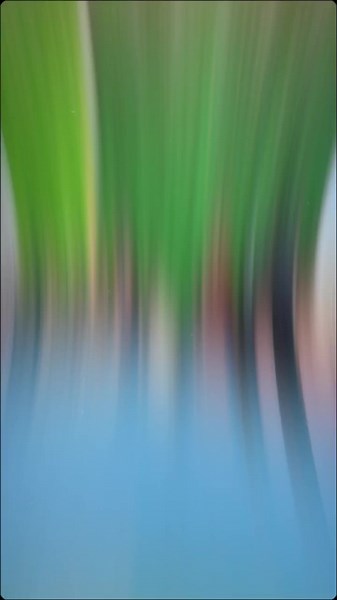 #pencaksilat #pencaksilatindonesia #pencaksilatthientri #xh