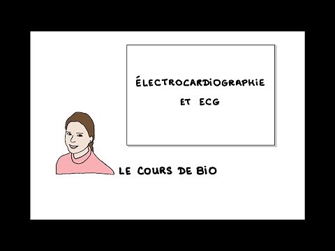 Électrocardiographie et ECG