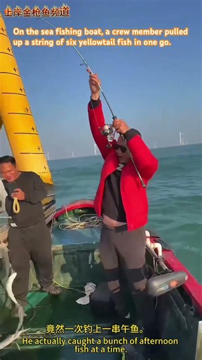 海钓船上一位船员一次就钓起来一串六条的午鱼。