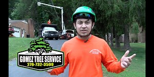 Gomez Tree Service 276 732 3599 | Star News TV
