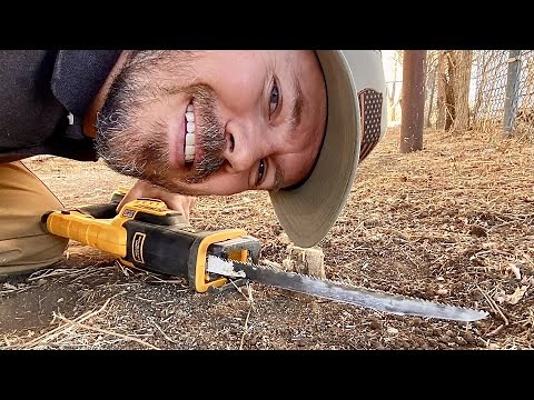 How To Flush Cut Small Tree Stumps