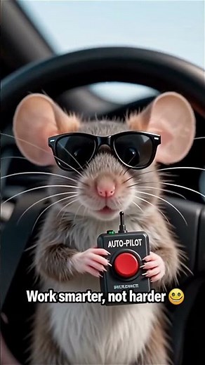 Mouse Got His License and Now We're All in Danger #roadrage #meme