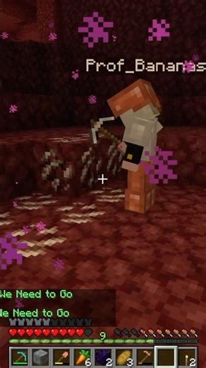 Our No Good, Very Bad Nether Spawn | Minecraft Plumcraft