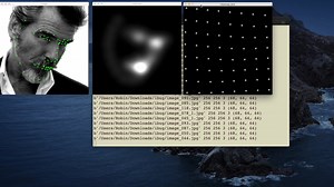 人脸特征点Heatmap生成