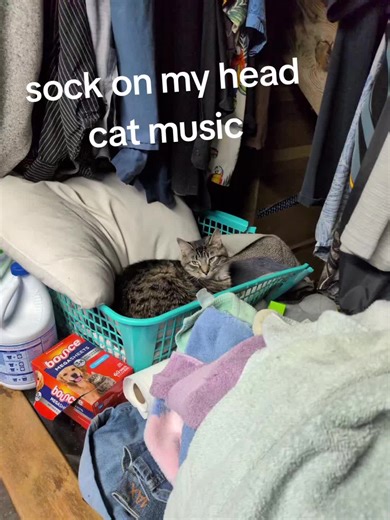 Project Jericho 😅 (@project.jericho)’s videos with original sound - Project Jericho 😅