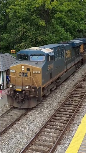 CSX L112 passes Washington Grove!