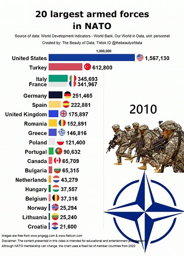 Top 20 Largest Armed Forces in NATO - Data Visualization