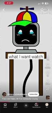 Why did those two make mr fun computer cry