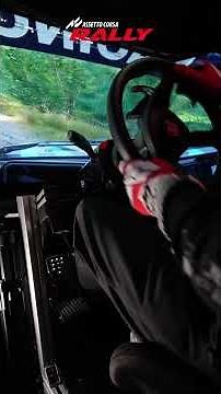 MOZA R21 Meets Assetto Corsa Rally Unleash 21 Nm of Chaos