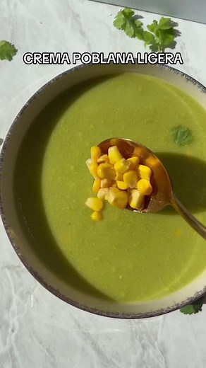 Receta de Crema Poblana Ligera