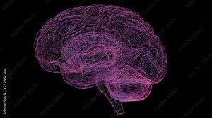3D holographic brain with various colors and an intriguing image, creating a captivating and dynamic visual representation.