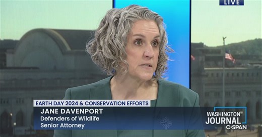 Washington Journal: Jane Davenport Discusses Earth Day 2024 & Conservation Efforts
