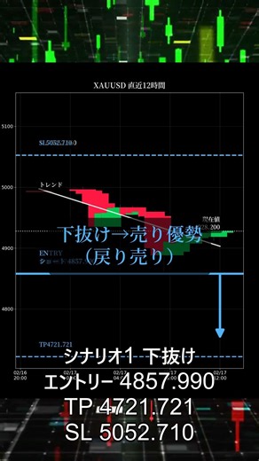 XAUUSD 相場分析 | 2026年2月18日