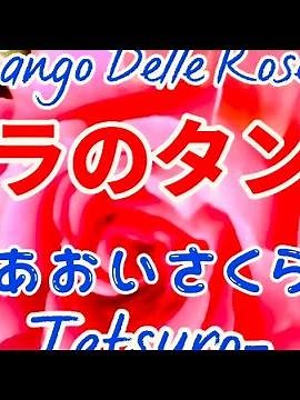 タンゴ名曲❗️🥀【バラのタンゴ♪】二重唱〈歌〉あおいさくら・Tetsuro-〈作曲〉F.シュライヤー/A.ポッテロ「緑の園に薔薇は咲いて」『TANGO DELLE ROSE』童謡美学®︎
