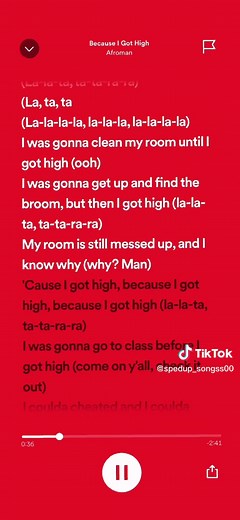 Because I Got High - Afroman Lyrics