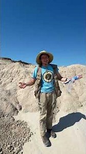 Finding a Second Oreodont Fossil Skeleton! #fossil #paleontology #oreodont #science