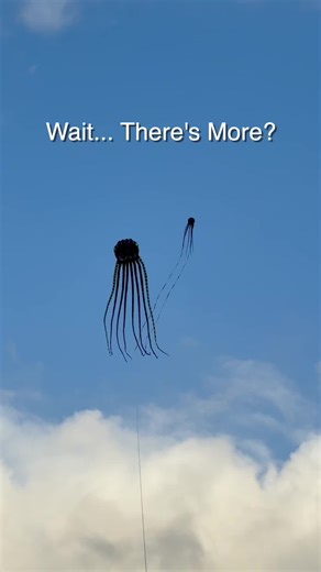 Never thought I’d fly two octopus kites at the same time🪁 #kiteflying #giantkites #octopuskite #augustaga #exploregeorgia