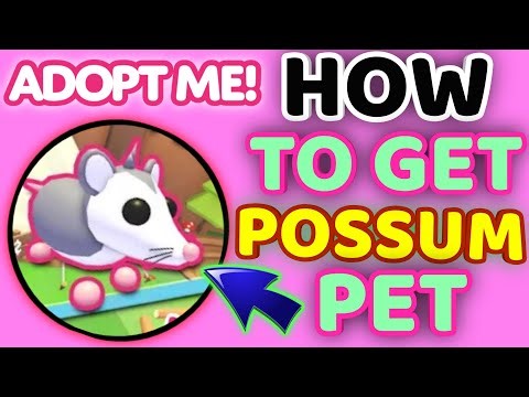 HOW and WHERE TO GET POSSUM PET in ADOPT ME! NEW CAMPING REFRESH