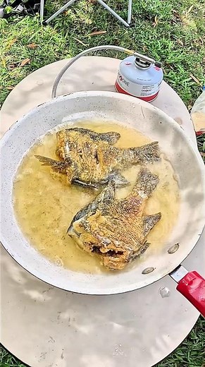 Bluegill Catch Clean Cook