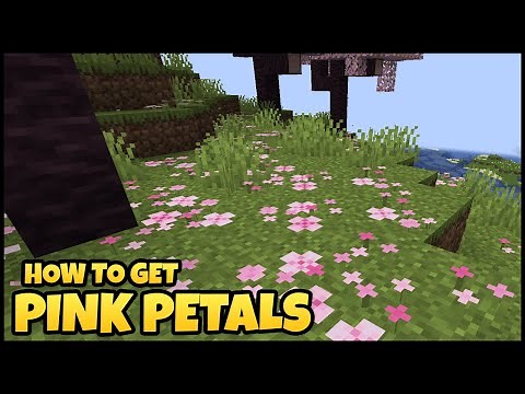 How To Get PINK PETALS In MINECRAFT