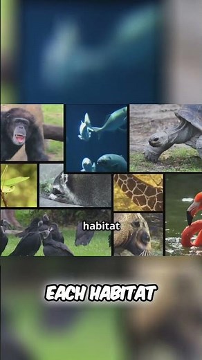Amazing Animal Habitats: Exploring Our Planet's Wonders #shorts