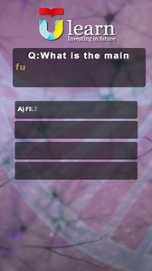 What is the Main Function of the Nephron in the Kidney? | Q&A on Kidney Function. What does the nephron do in your kidneys? In this Q&A video, we explore the primary function of the nephron and clarify its role in the body. Is it responsible for blood filtration, urine storage, red blood cell production, or urea synthesis? We break down each option to reveal why filtration of blood is the nephron's main job. Perfect for anyone studying biology or interested in how our kidneys keep us healthy #Ne