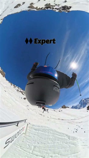 Beginner vs. Expert Skier
