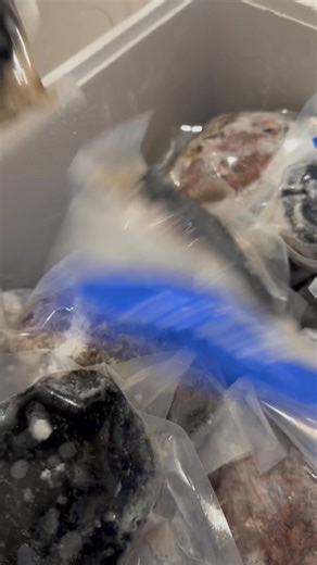 🔥🐚 BIG SPECIAL ON Paua in the shell TODAY! 🔥🐚 Original price $35 each ➜ NOW ONLY $26 EACH! 😱✨ We’ve already adjusted the price — no extra steps needed! Limited stock available! Once they’re gone, they’re gone! Come in QUICK and grab your Paua before it sells out! 🔥💛 | Larry's Takeaways kawerau